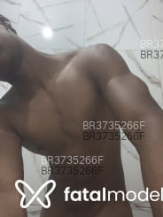 Acompanhante Sandro - Perfil