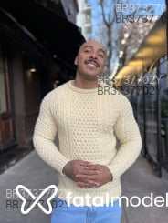 Acompanhante Ricardo - Perfil
