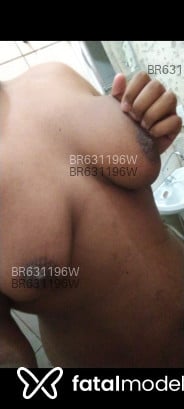 Acompanhante Gordin Tetudo - Perfil