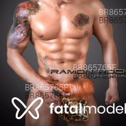 Acompanhante Atorporno - Perfil