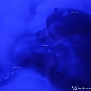 Acompanhante Ana Júlia - Perfil