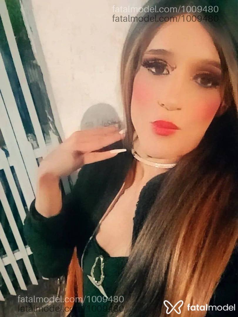 Acompanhante travesti morena (o) de olhos castanhos em Uberlândia - Sabrinny laila