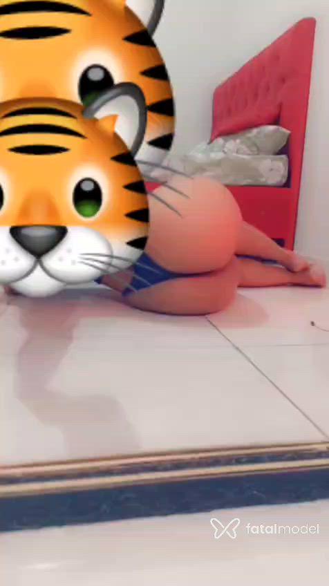 Vídeo 11