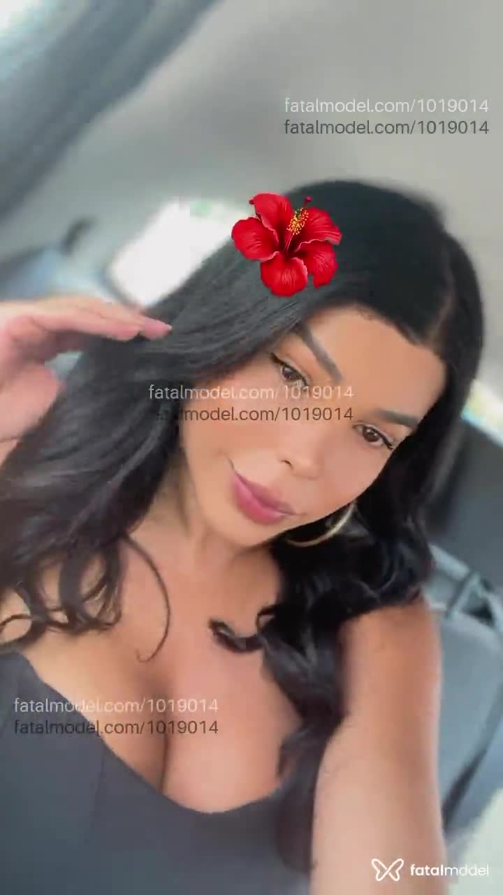 Acompanhante travesti com cabelo castanho de olhos castanhos - VANESSA FELIX