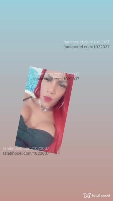 Acompanhante homem trans morena (o) de olhos castanhos em Curitiba - Jennifer Dantas