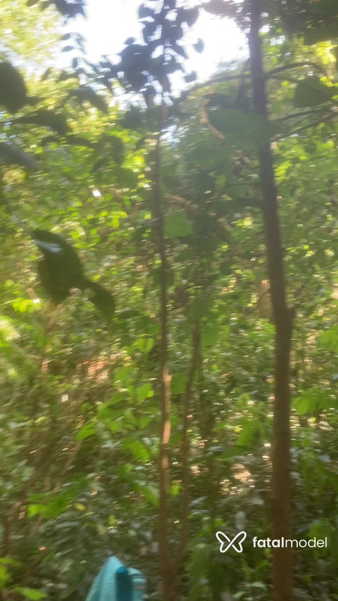Vídeo 12