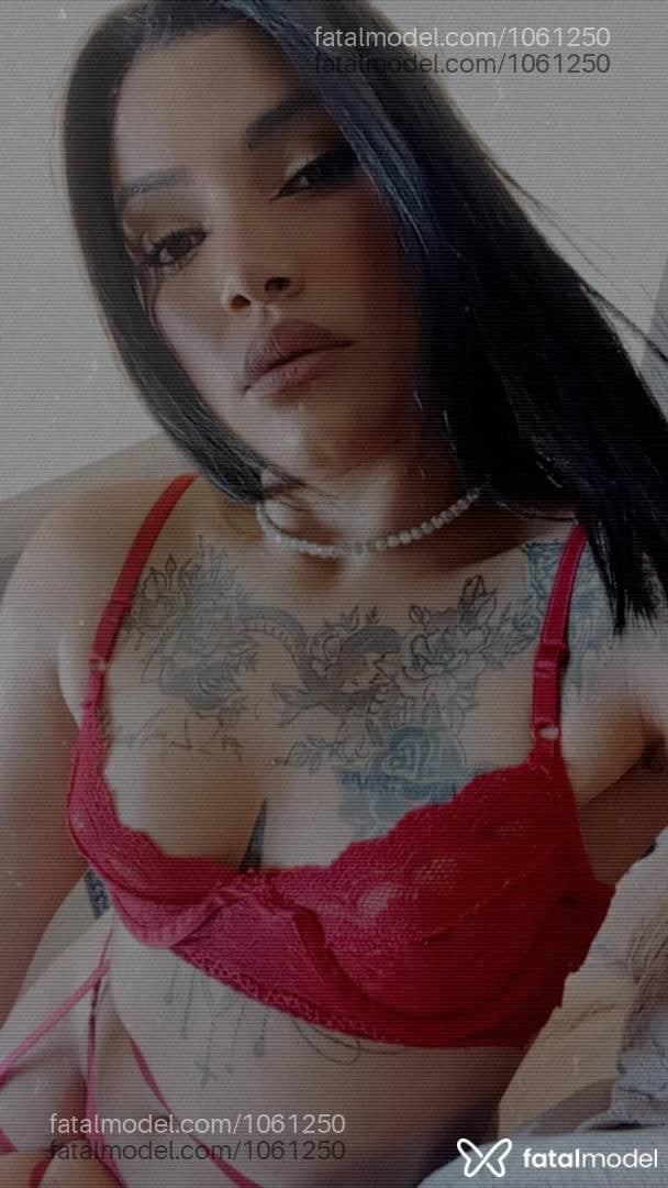 Acompanhante mulher morena (o) de olhos castanhos - Larissa