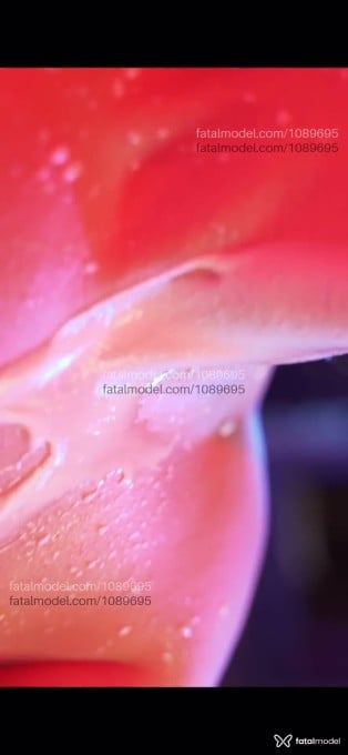 Acompanhante mulher morena (o) de olhos castanhos em Criciúma - Fernanda