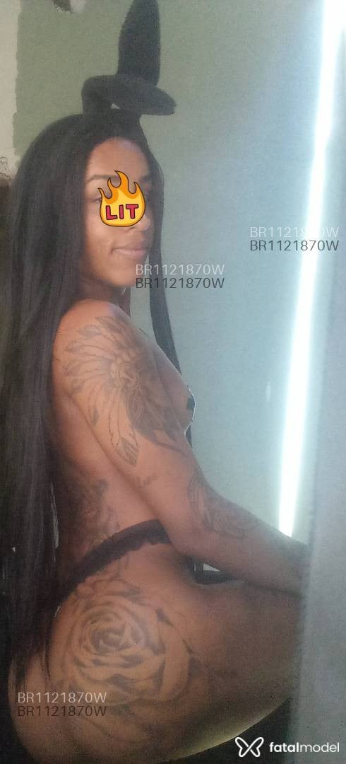 Acompanhante homem trans morena (o) de olhos pretos em Niterói - Dany lopez