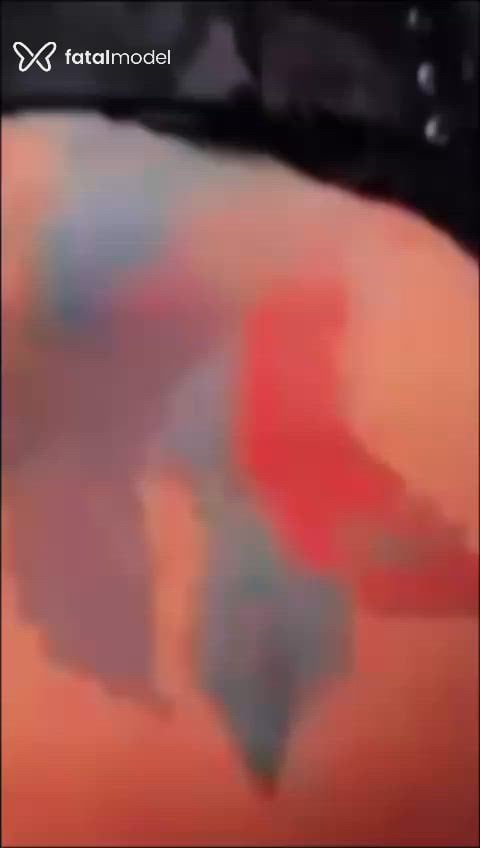Vídeo 7