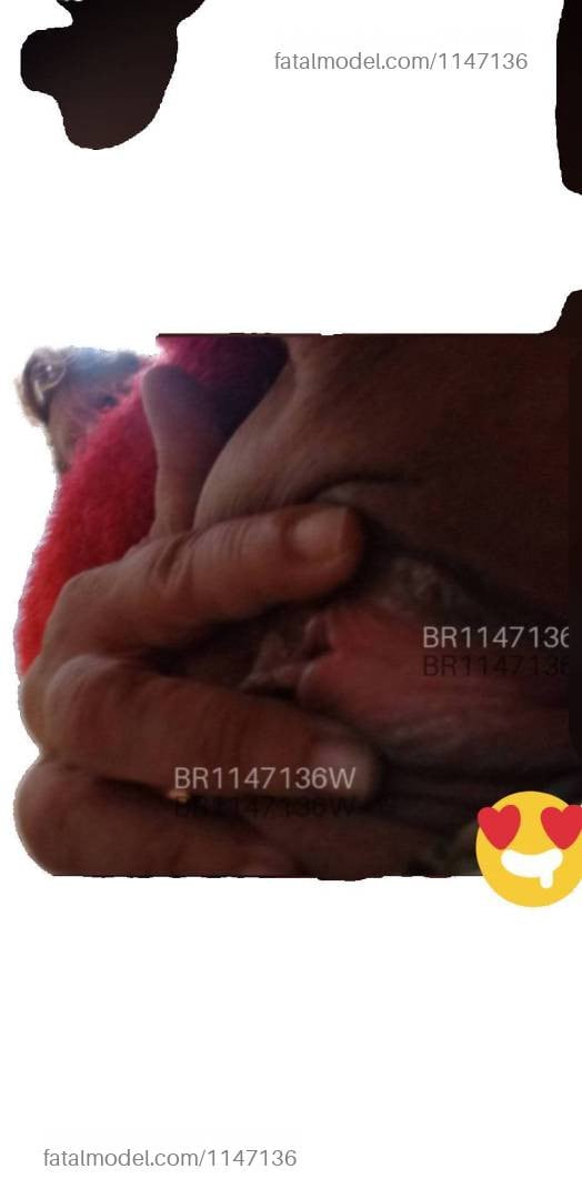 Acompanhante mulher com cabelo castanho de olhos mel - Elena Baichinha