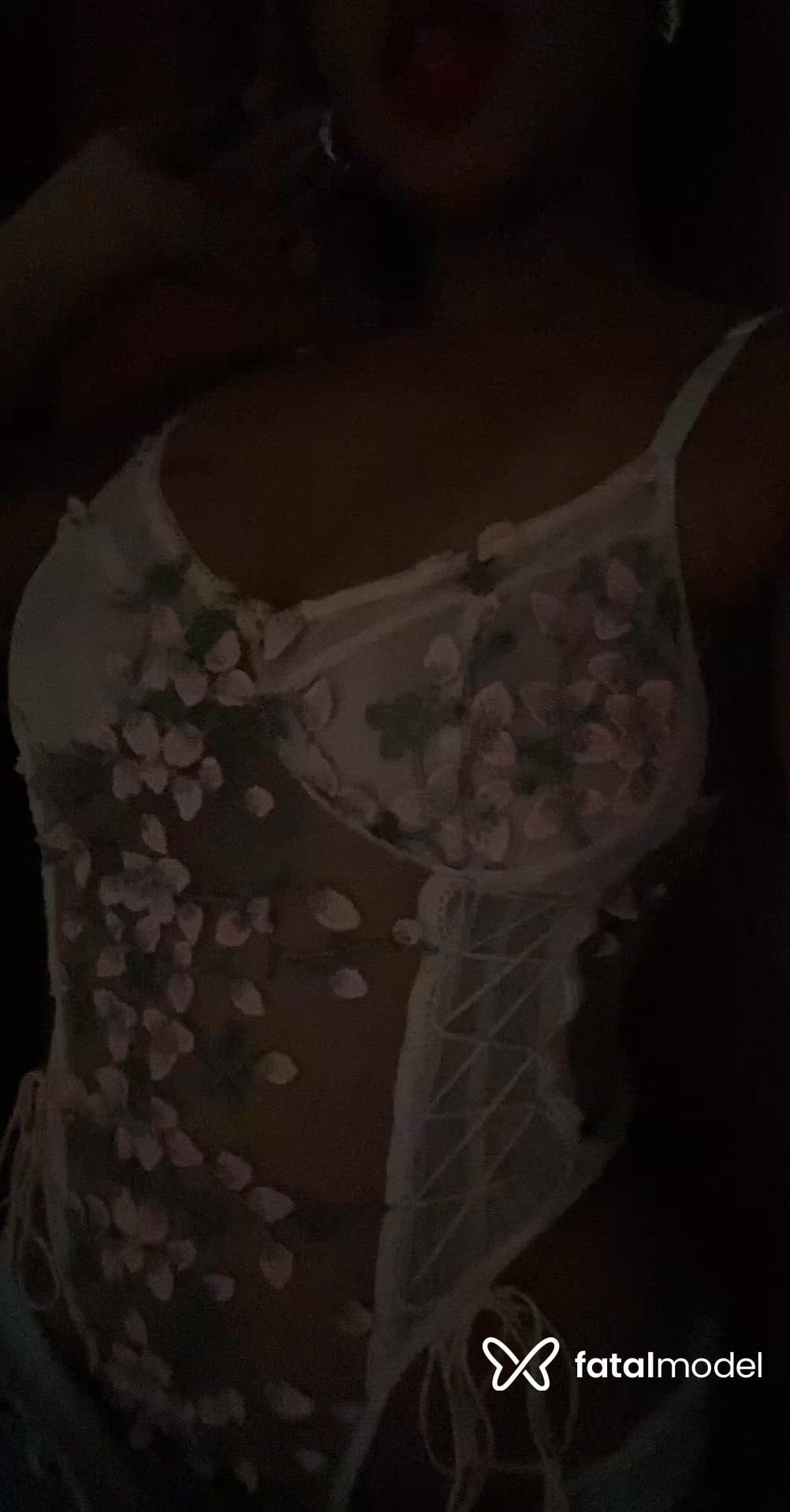 Vídeo 2