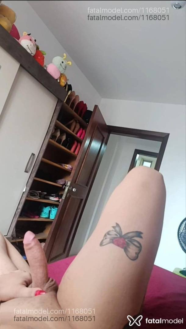 Acompanhante travesti com cabelo castanho de olhos castanhos - Sheyla
