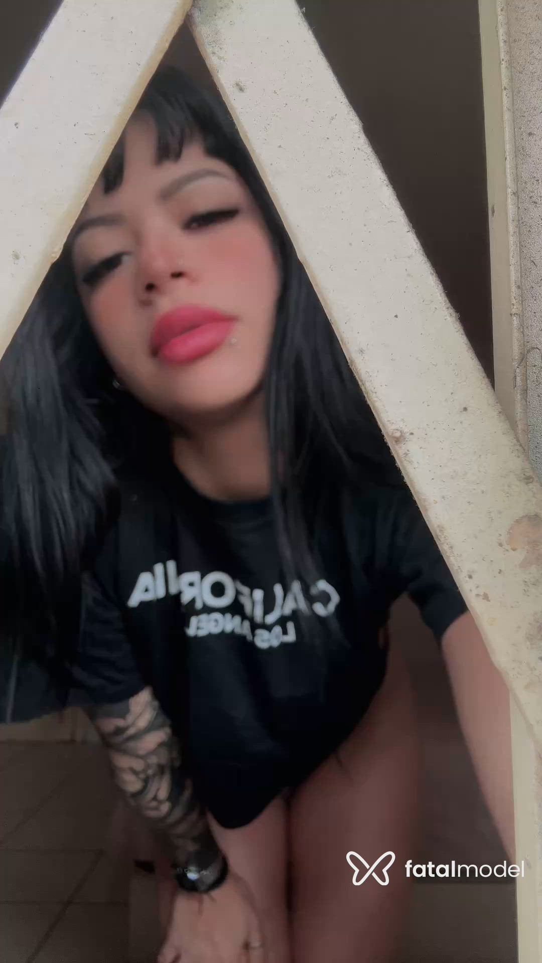 Vídeo 2