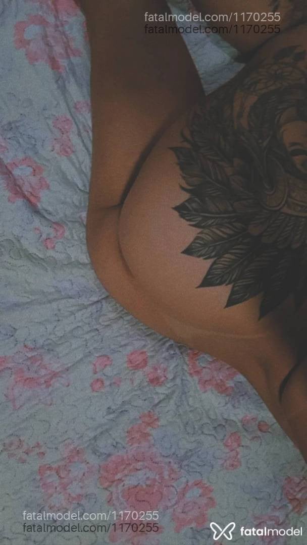 Imagem 12