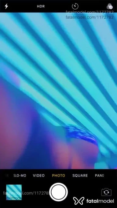 Acompanhante mulher trans morena (o) de olhos pretos em Goiânia - Angellina