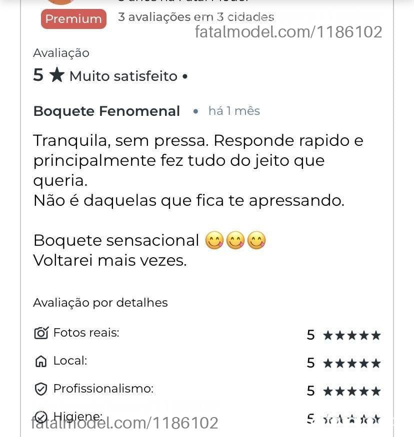 Acompanhante mulher com cabelo castanho de olhos castanhos - Isa Santorini