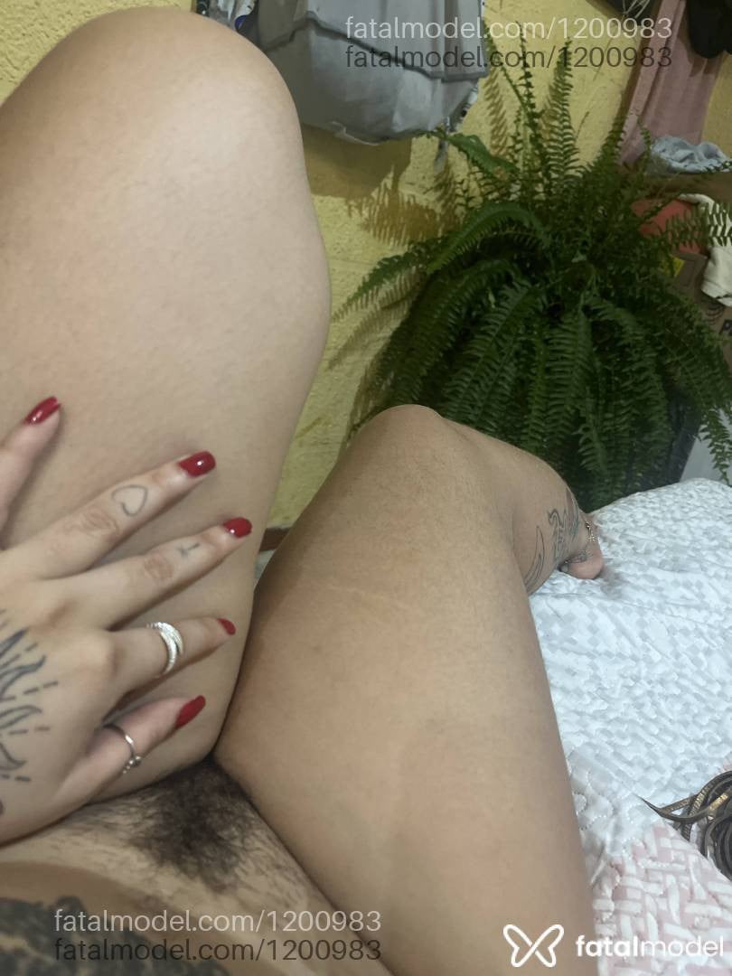 Imagem 6