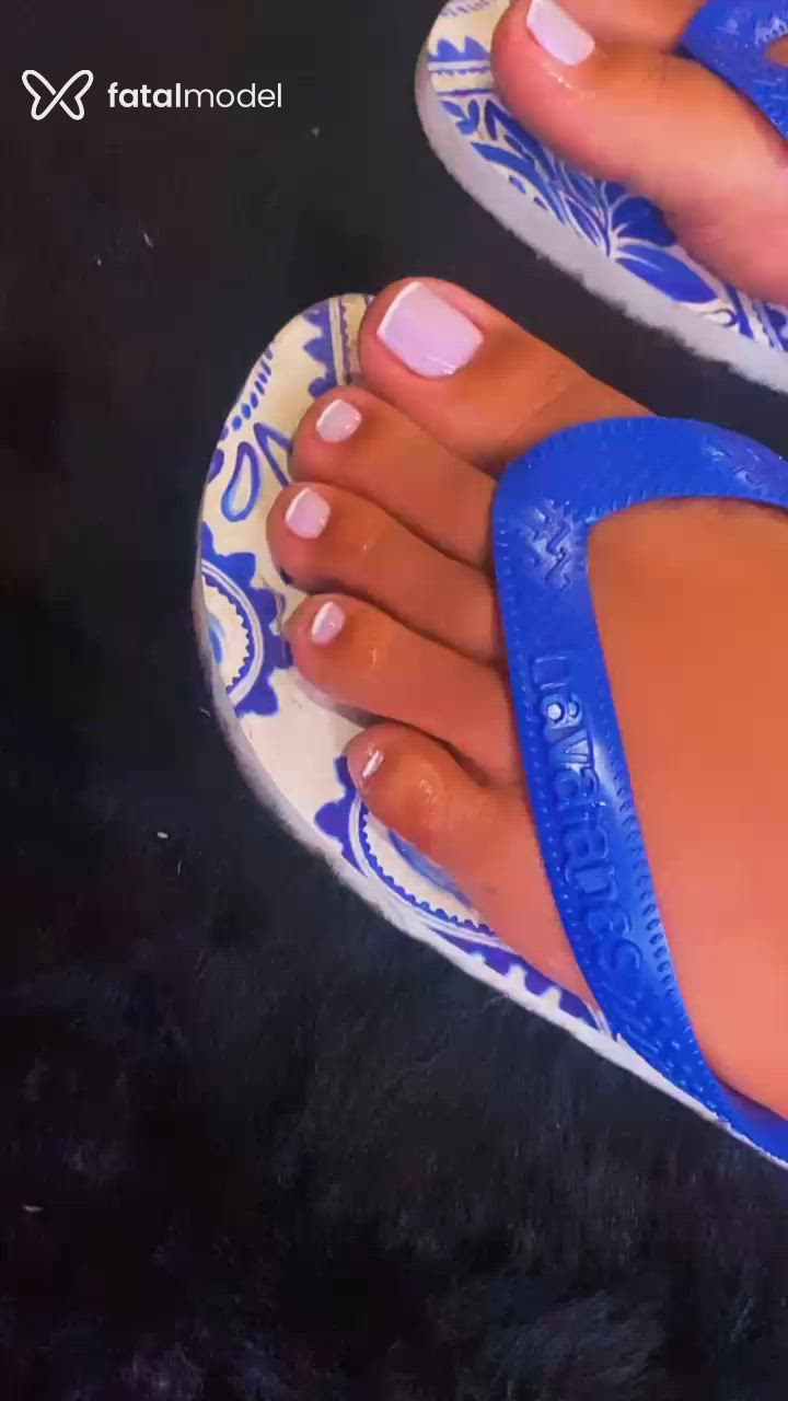 Acompanhante mulher morena (o) de olhos pretos - Mirella