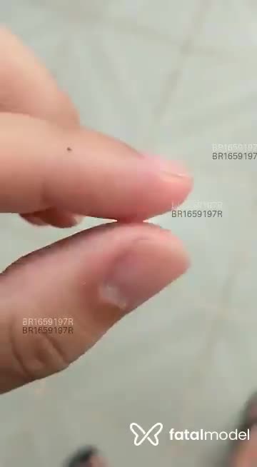 Acompanhante homem sem cabelo de olhos castanhos em Itajaí - Toshio