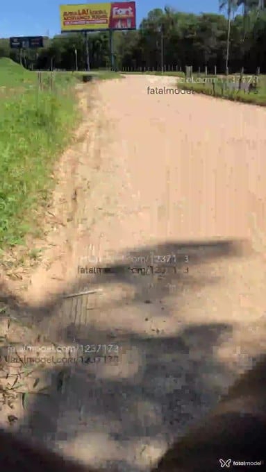 Acompanhante travesti morena (o) de olhos pretos em Diadema - Renata barbosa