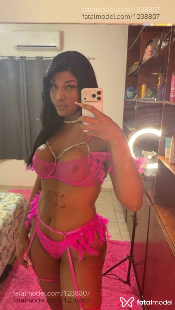 Acompanhante travesti com cabelo castanho de olhos castanhos em São José do Rio Preto - PRISCILLA FROIS