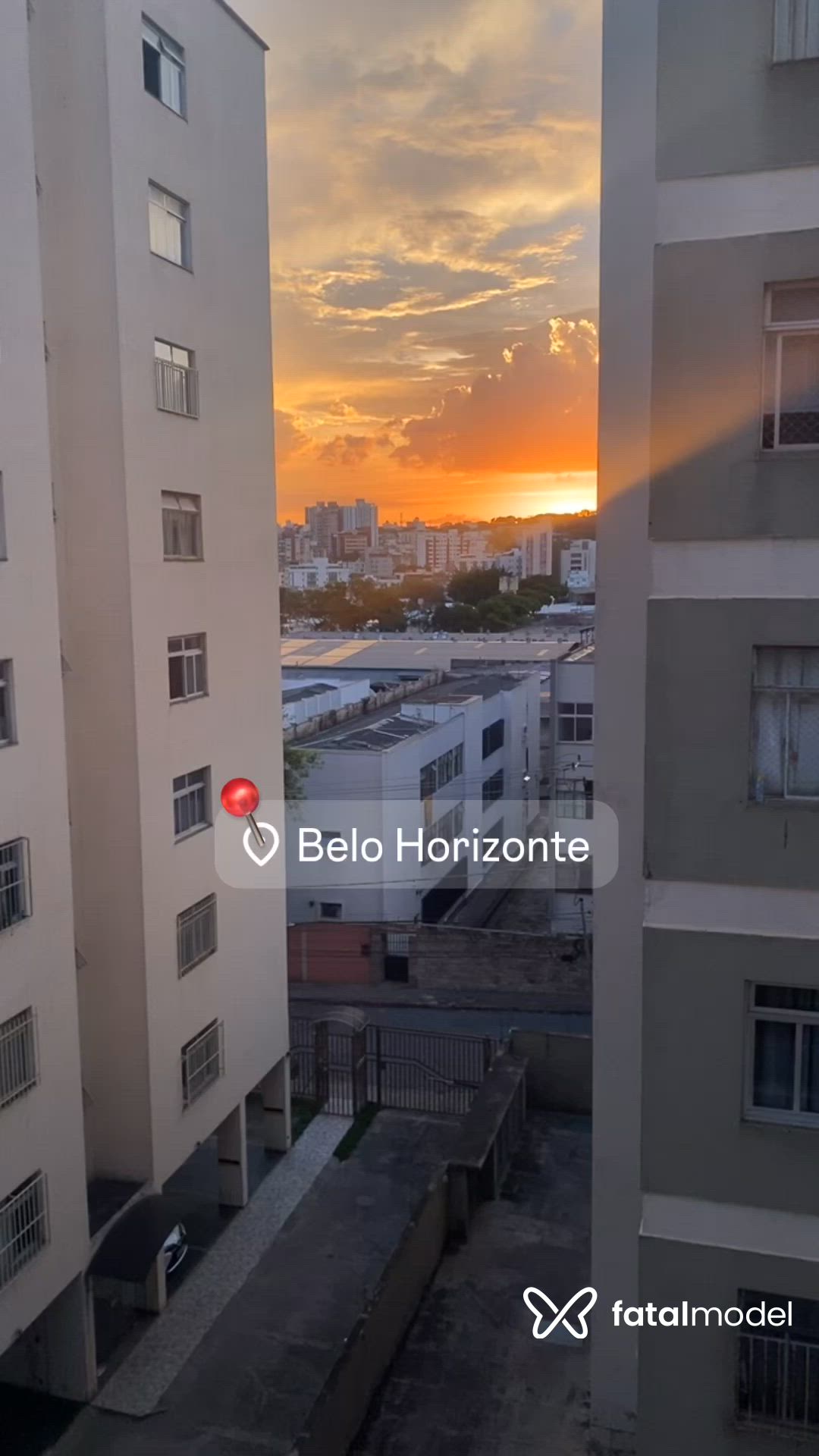 Vídeo 12