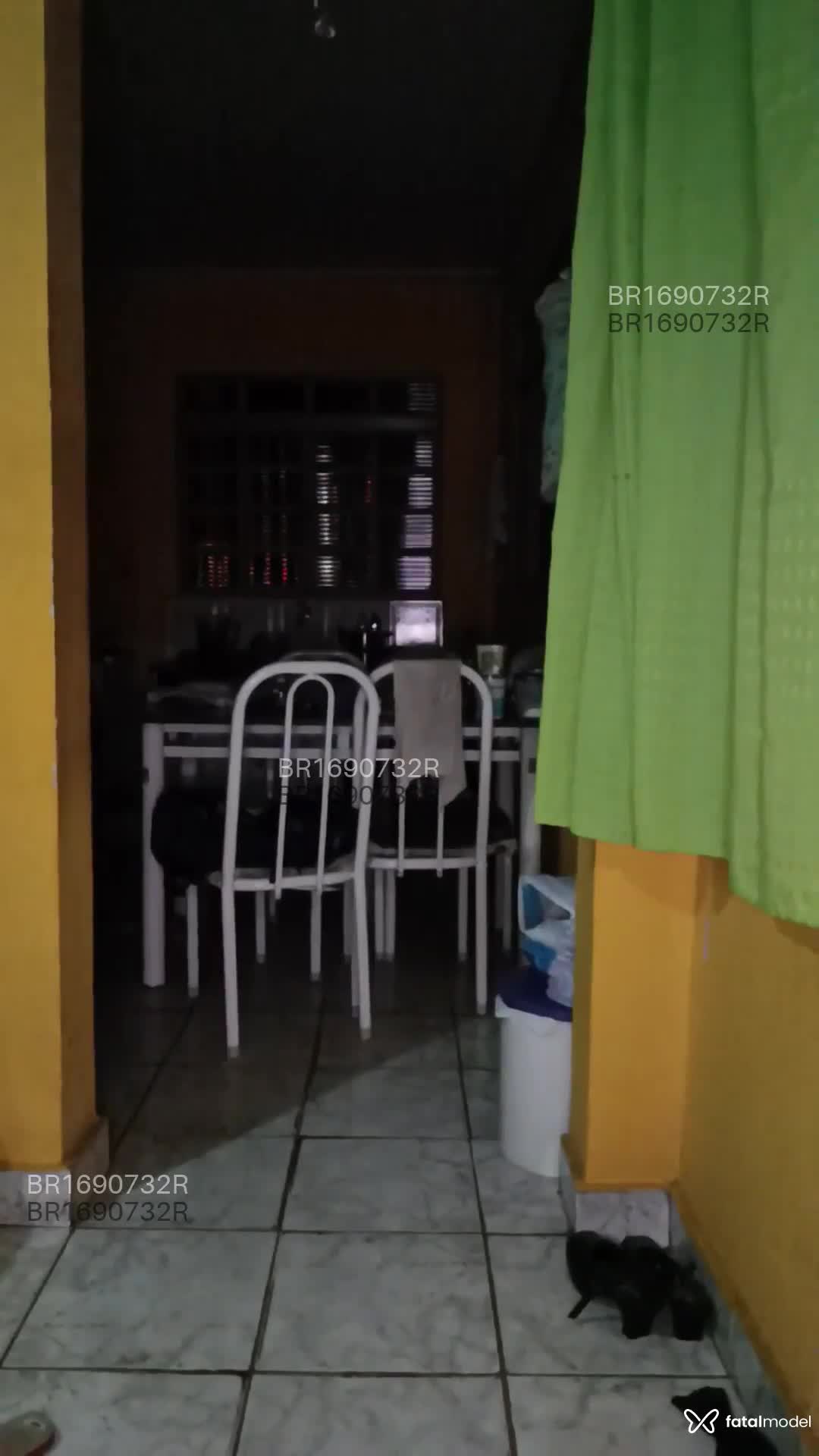 Vídeo 7