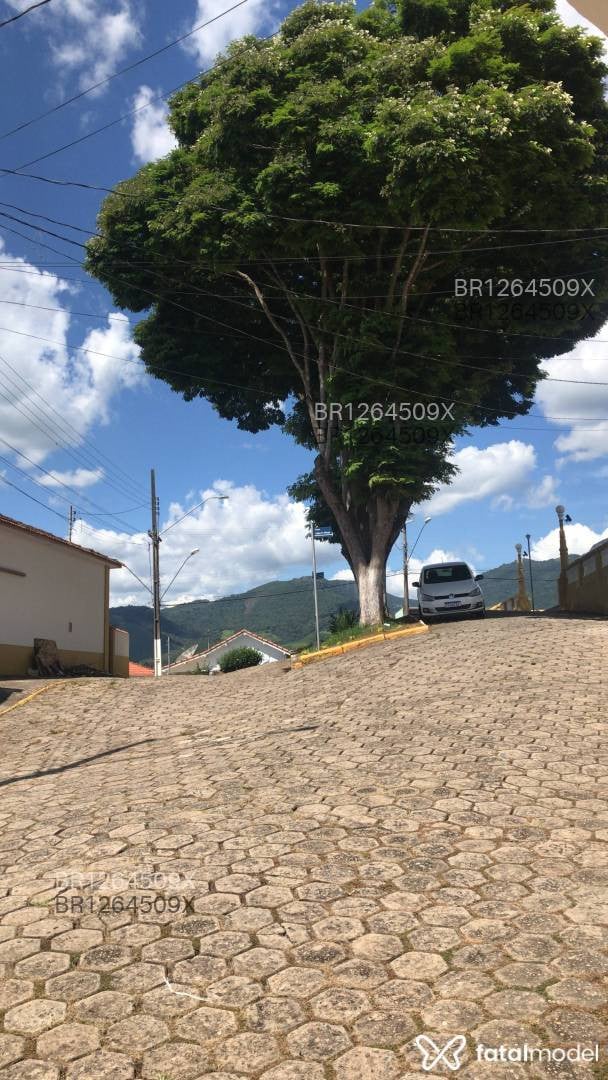 Acompanhante homem com cabelo castanho de olhos verdes em Itajubá - Souza