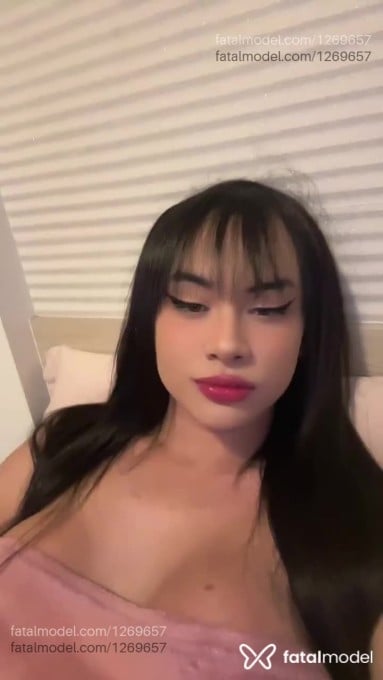 Acompanhante travesti morena (o) de olhos mel em Curitiba - Vanessinha fetin