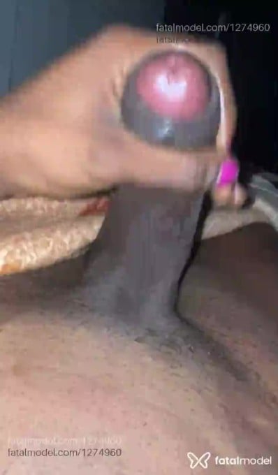 Acompanhante travesti morena (o) de olhos pretos - Brunna Bacelar