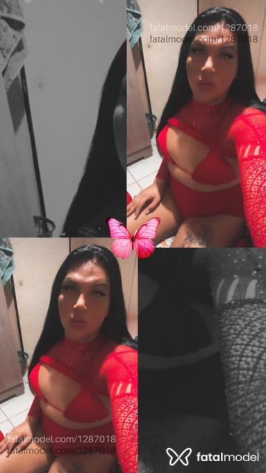 Acompanhante mulher trans morena (o) de olhos verdes em Aripuanã - Shetefanny skallet