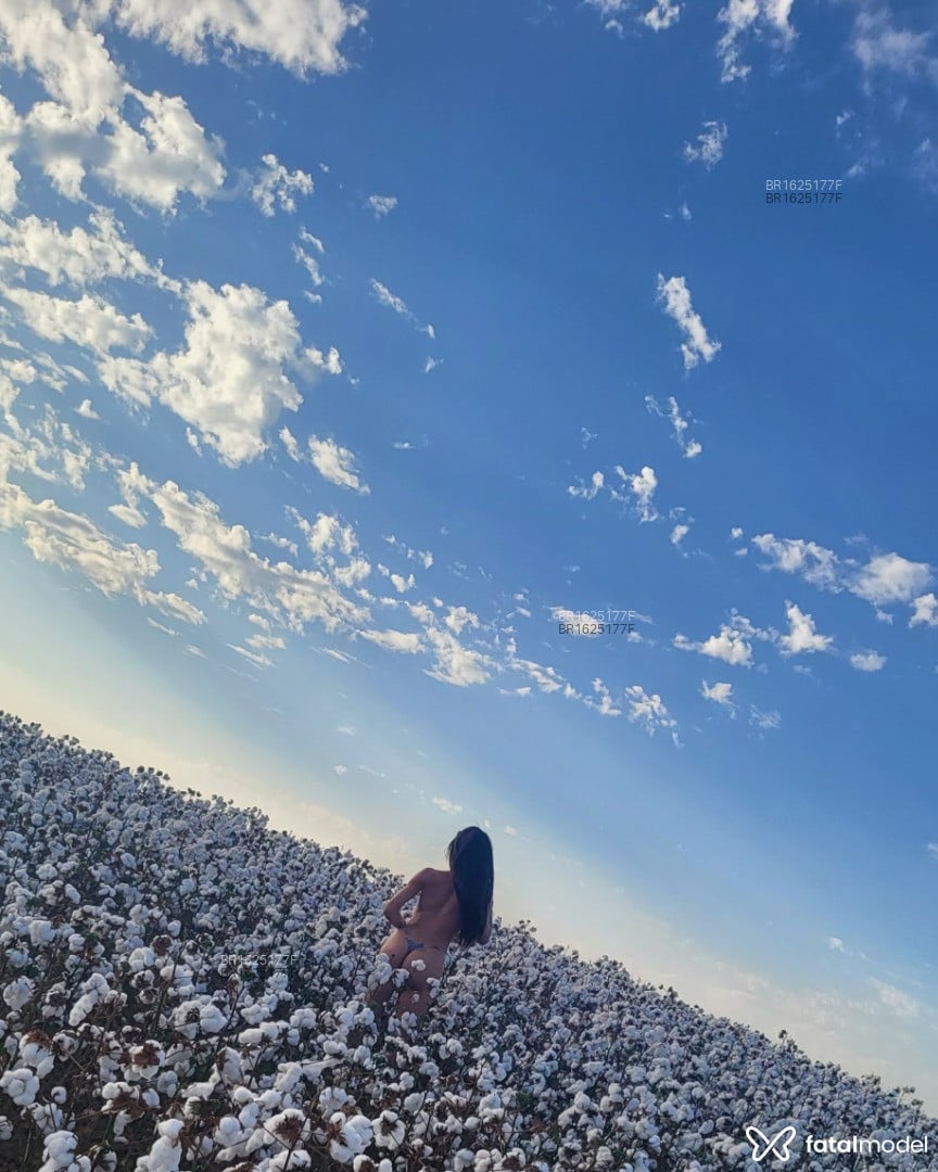 Acompanhante mulher trans com cabelo castanho de olhos castanhos em Pontes e Lacerda - Patrícia Cardoso