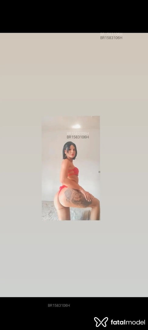 Acompanhante mulher trans morena (o) de olhos pretos em Ribeirão Preto - Paola silva