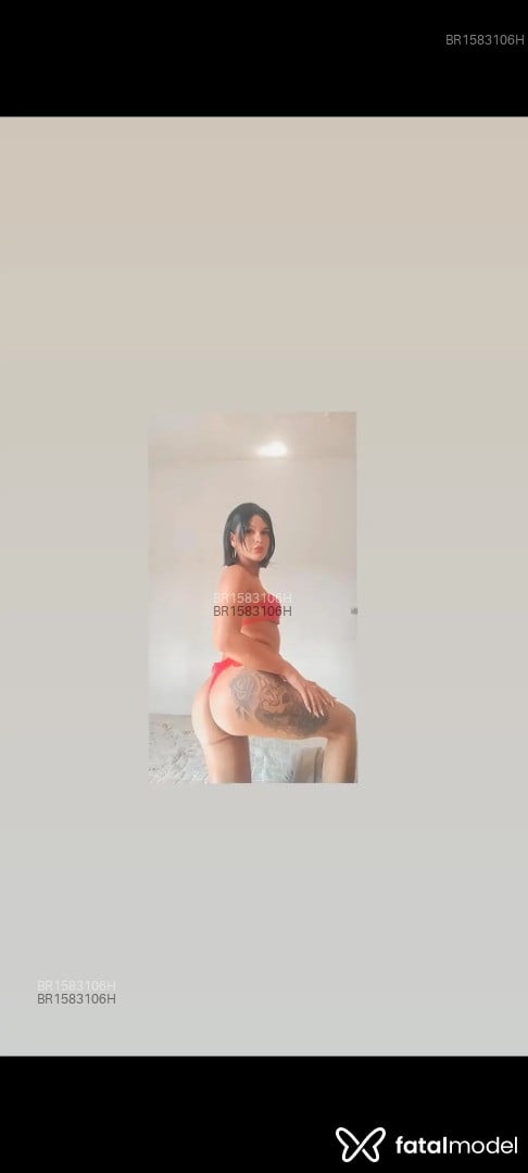 Acompanhante mulher trans morena (o) de olhos pretos em Ribeirão Preto - Paola silva
