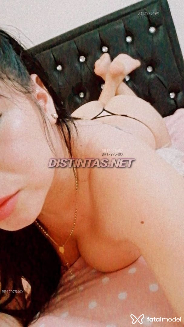Acompanhante mulher trans morena (o) de olhos castanhos em Porto Velho - Thalita