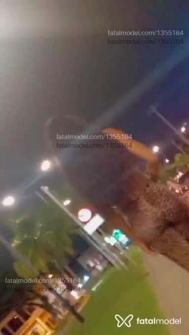 Acompanhante mulher trans morena (o) de olhos castanhos em Criciúma - Karol