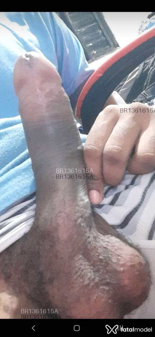 Acompanhante homem morena (o) de olhos castanhos em Ribeirão Preto - Gabriel Fedelis