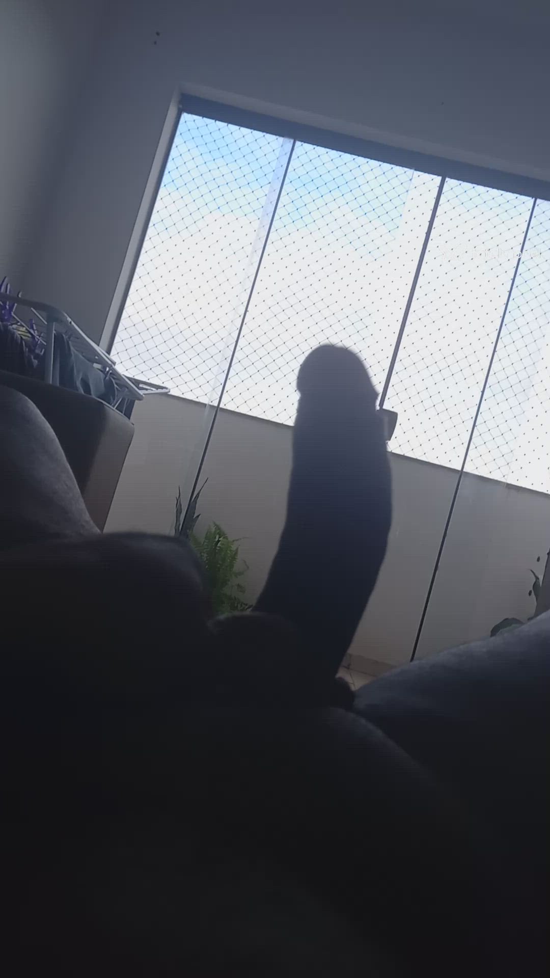Vídeo 12
