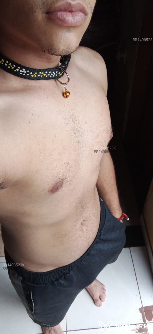 Acompanhante homem com cabelo castanho de olhos castanhos em Jequié Acompanhante homem com cabelo castanho de olhos castanhos em Jequié - Lucas Walker