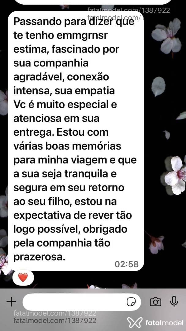 Acompanhante mulher morena (o) de olhos mel - Andressa Acompanhante mulher morena (o) de olhos mel - Andressa