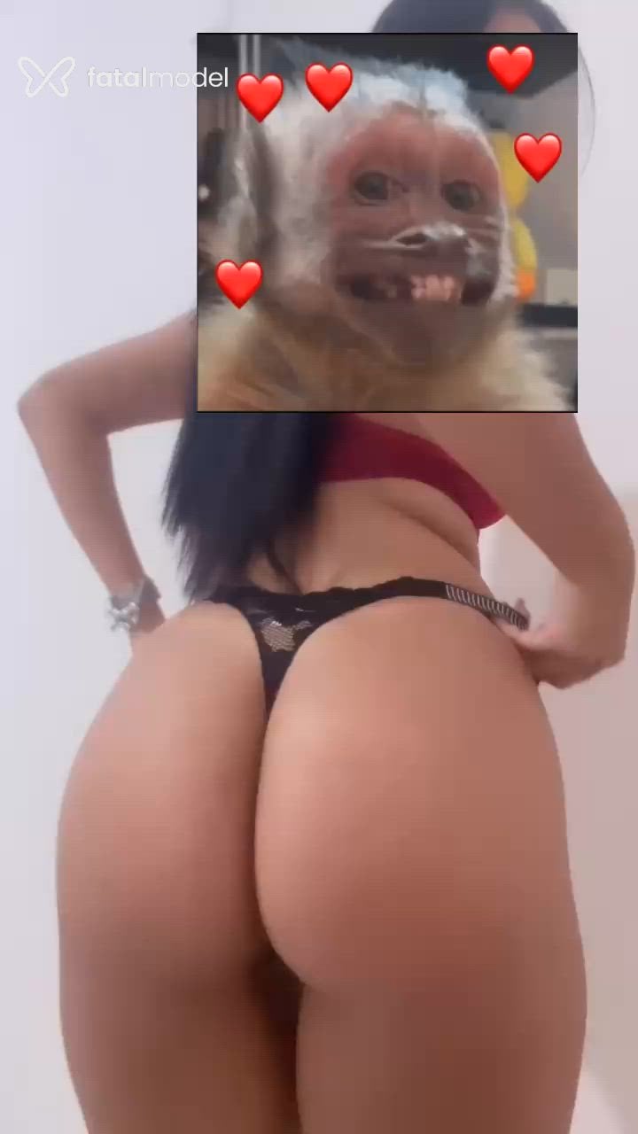 Vídeo 7