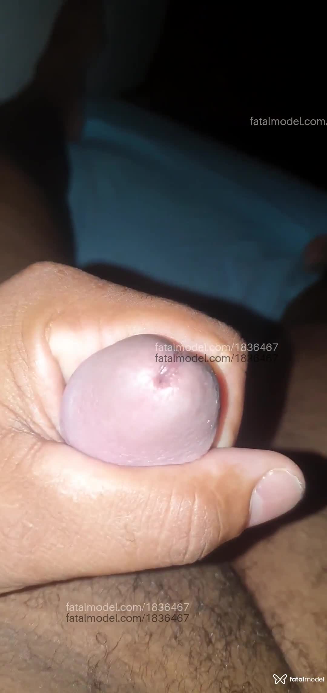 Acompanhante homem com cabelo castanho de olhos mel em Aparecida de Goiânia - Arlei