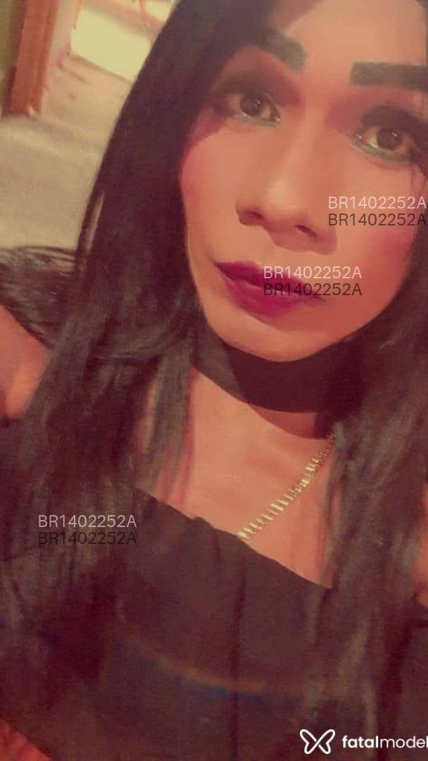Acompanhante travesti morena (o) de olhos pretos em Campinas - Gabriella gaby