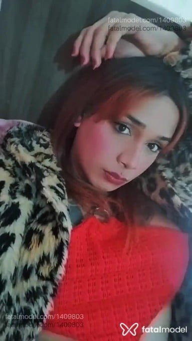 Acompanhante mulher trans morena (o) de olhos castanhos em Navegantes Acompanhante mulher trans morena (o) de olhos castanhos em Navegantes - Lais oliveira