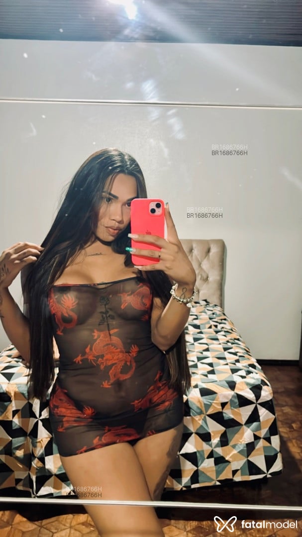 Acompanhante mulher trans morena (o) de olhos castanhos em São Luís - Barbara ferraz