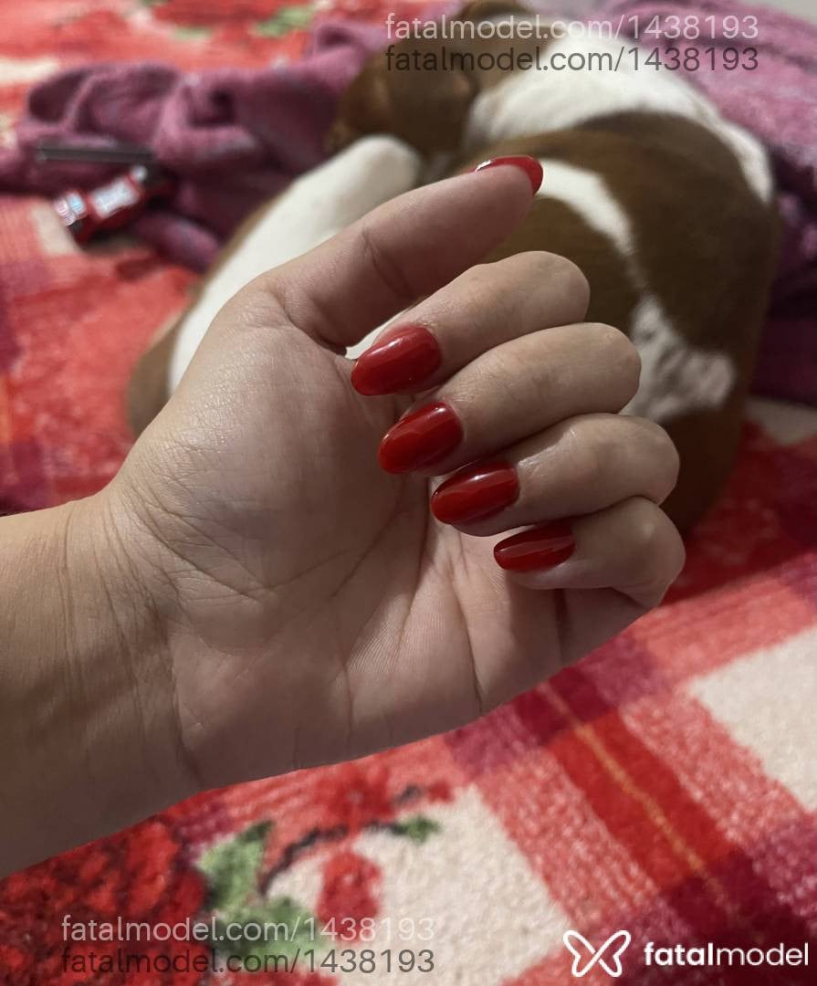 Acompanhante mulher morena (o) de olhos castanhos - Gabi Castro