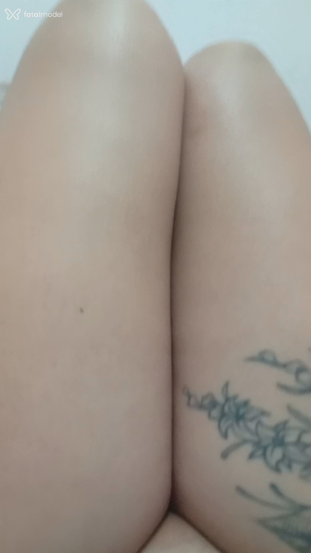 Acompanhante mulher trans morena (o) de olhos castanhos - Gisele