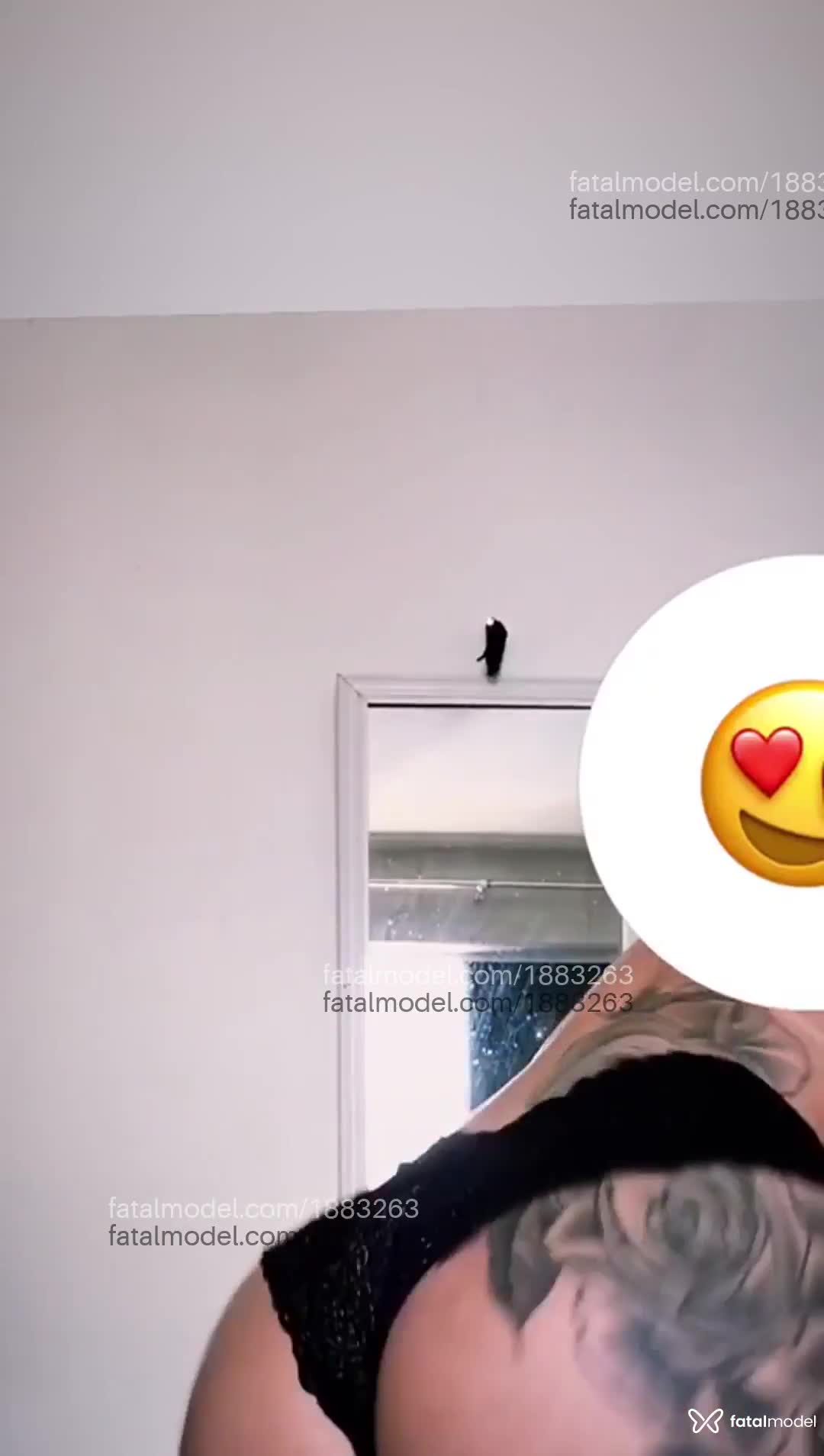 Acompanhante mulher morena (o) de olhos castanhos em João Pessoa Acompanhante mulher morena (o) de olhos castanhos em João Pessoa - Jhullya