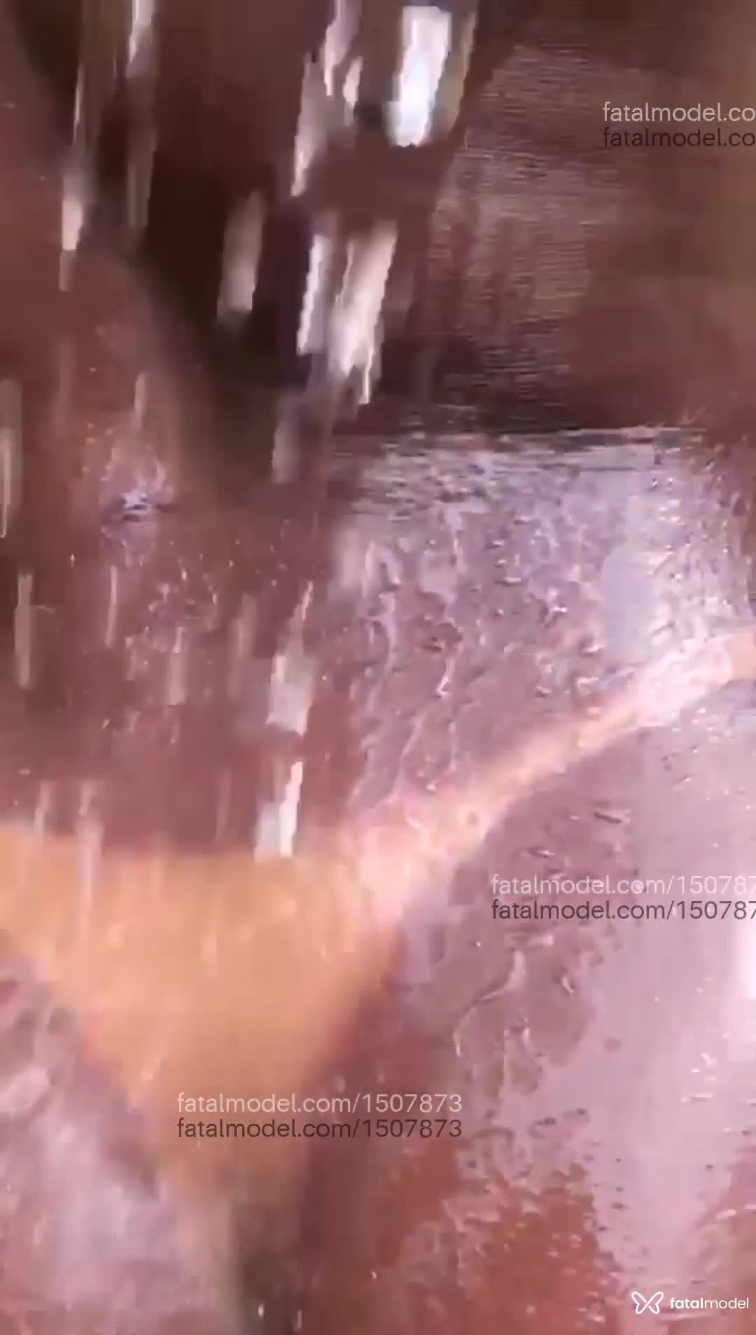 Acompanhante travesti morena (o) de olhos castanhos em Virtual Acompanhante travesti morena (o) de olhos castanhos em Virtual - Tefinha morena sfd